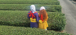 Tea Picking in Japan: A Teaseller’s Dream