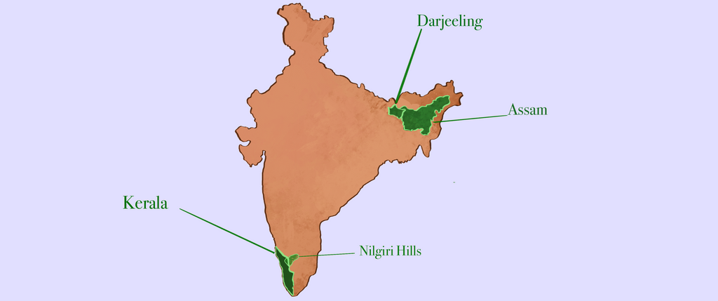 Tea Regions of India