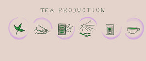 The Art of Tea Production