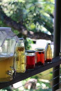 Kombucha: What is it, and how is it made?